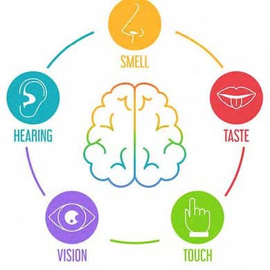 Sensory Branding 3 EURO COSMETICS Magazine • Sensory Branding • Uli Osterwalder • Uli Osterwalder