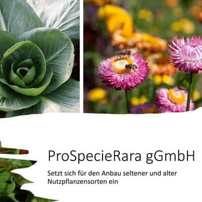 ProSpecieRara & Symrise collaborate to set a precedent 1 ProSpecieRara & Symrise collaborate to set a precedent
