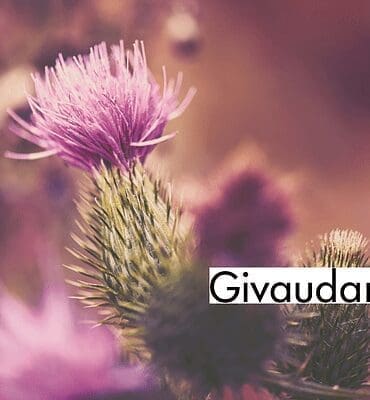 Givaudan Launches Scentaurus™ Aquamelon – The First Fragrance Precursor for Hair Care 2 Givaudan Active Beauty boosts well-ageing with launch of Siliphos®