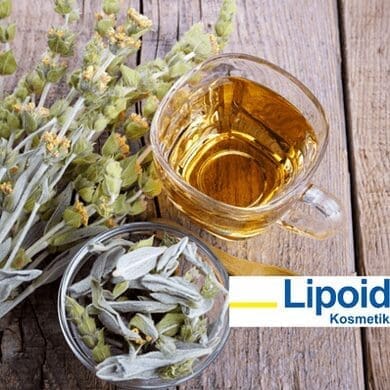 Lipoid Kosmetik AG Launches Mountain Tea Pro – The Night-Time Remedy for Skin Recovery 11 Lipoid Kosmetik AG Launches Mountain Tea Pro – The Night-Time Remedy for Skin Recovery