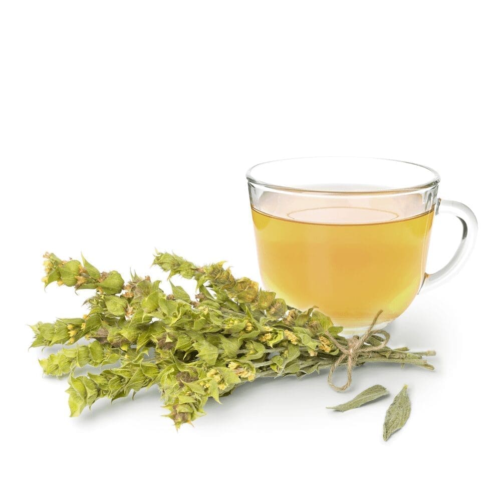 Lipoid Kosmetik AG Launches Mountain Tea Pro – The Night-Time Remedy for Skin Recovery 2 EURO COSMETICS Magazine • Lipoid Kosmetik AG Launches Mountain Tea Pro – The Night-Time Remedy for Skin Recovery • Euro Cosmetics • Euro Cosmetics