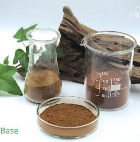 LignoBase,a natural response to multiple skin concerns 2 Lingopure LignoBase