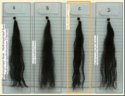 Seppic reveals the effectiveness of SOLAGUMTM TARA for more naturalhair care. 4 EURO COSMETICS Magazine • Seppic reveals the effectiveness of SOLAGUMTM TARA for more naturalhair care. • Euro Cosmetics • Euro Cosmetics
