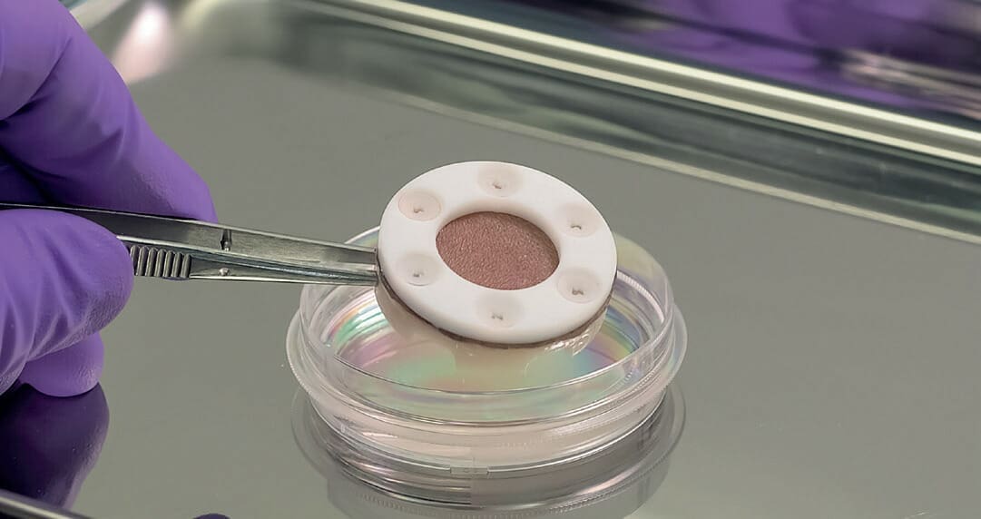 Advances & Opportunities in (Pre)Clinical Testing for Cosmetics and Personal Care 8 Euro Cosmetics Magazine Deanna Utroske Advances & Opportunities in (Pre)Clinical Testing for Cosmetics and Personal Care TenBio-TenSkin