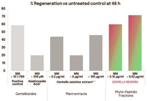 Plant-derived Peptides and Biotechnology 3 EURO COSMETICS Magazine • Plant-derived Peptides and Biotechnology • Ò. Expósito and M. Buchholz • Ò. Expósito and M. Buchholz