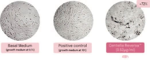 Plant-derived Peptides and Biotechnology 7 EURO COSMETICS Magazine • Plant-derived Peptides and Biotechnology • Ò. Expósito and M. Buchholz • Ò. Expósito and M. Buchholz