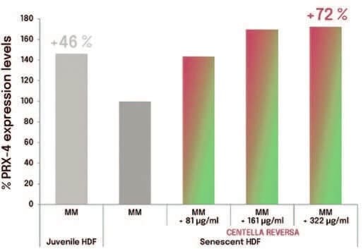 Plant-derived Peptides and Biotechnology 11 EURO COSMETICS Magazine • Plant-derived Peptides and Biotechnology • Ò. Expósito and M. Buchholz • Ò. Expósito and M. Buchholz