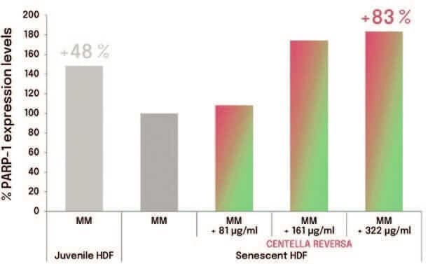 Plant-derived Peptides and Biotechnology 15 EURO COSMETICS Magazine • Plant-derived Peptides and Biotechnology • Ò. Expósito and M. Buchholz • Ò. Expósito and M. Buchholz