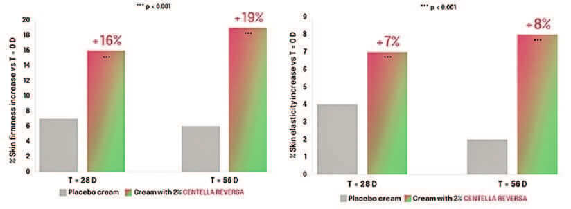 Plant-derived Peptides and Biotechnology 17 EURO COSMETICS Magazine • Plant-derived Peptides and Biotechnology • Ò. Expósito and M. Buchholz • Ò. Expósito and M. Buchholz