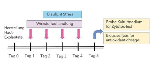 Natura-Tec SeaBerry Blue™Biomimetisch den antioxidativen Anti-Aging Effekt und den SPF boostern 11 EURO COSMETICS Magazine • Natura-Tec SeaBerry Blue™Biomimetisch den antioxidativen Anti-Aging Effekt und den SPF boostern • Ulrike Marx, Kristina Usta, Pascale Goyat and Charlotte Vignal • Ulrike Marx, Kristina Usta, Pascale Goyat and Charlotte Vignal