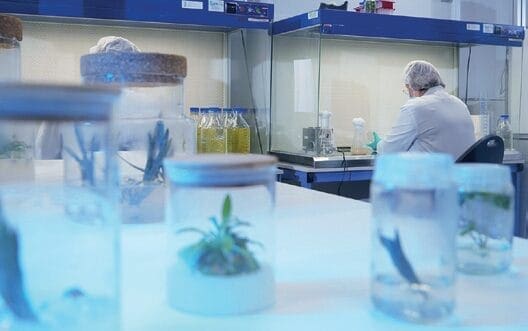 5 Companies Transforming Beauty with the Science of Tomorrow 4 EURO COSMETICS Magazine • 5 Companies Transforming Beauty with the Science of Tomorrow • Deanna Utroske • Deanna Utroske