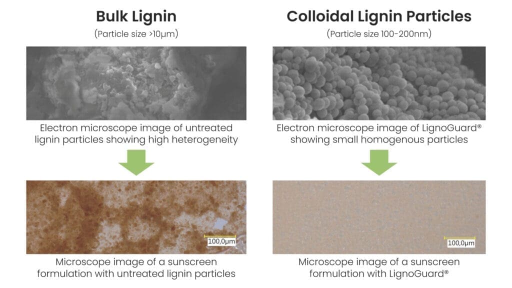 Boosting SPF with Lignin 6 EURO COSMETICS Magazine • Boosting SPF with Lignin • Lignovations • Lignovations