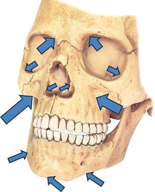 Change in facial morphology with age 3 EURO COSMETICS Magazine • Change in facial morphology with age • Neelam Muizzuddin • Neelam Muizzuddin