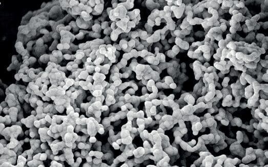 MicroSilver BG™ - A microbiome supportive skin conditioner withantimicrobial properties 5 EURO COSMETICS Magazine • MicroSilver BG™ - A microbiome supportive skin conditioner withantimicrobial properties • Dr. Peter Steinrücke, Dr. Radhesh Kumar and Dipl.-Ing. Thomas Konradt • Dr. Peter Steinrücke, Dr. Radhesh Kumar and Dipl.-Ing. Thomas Konradt
