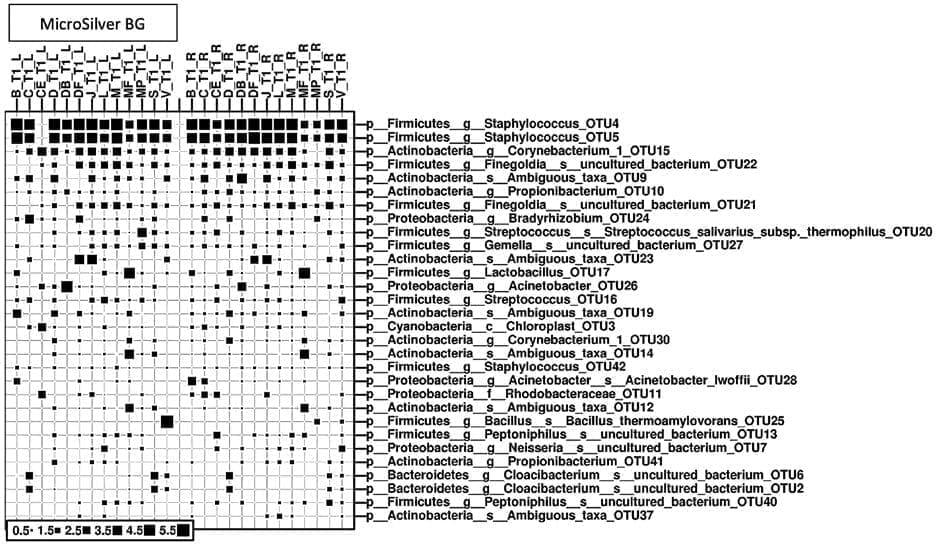 MicroSilver BG™ - A microbiome supportive skin conditioner withantimicrobial properties 13 EURO COSMETICS Magazine • MicroSilver BG™ - A microbiome supportive skin conditioner withantimicrobial properties • Dr. Peter Steinrücke, Dr. Radhesh Kumar and Dipl.-Ing. Thomas Konradt • Dr. Peter Steinrücke, Dr. Radhesh Kumar and Dipl.-Ing. Thomas Konradt