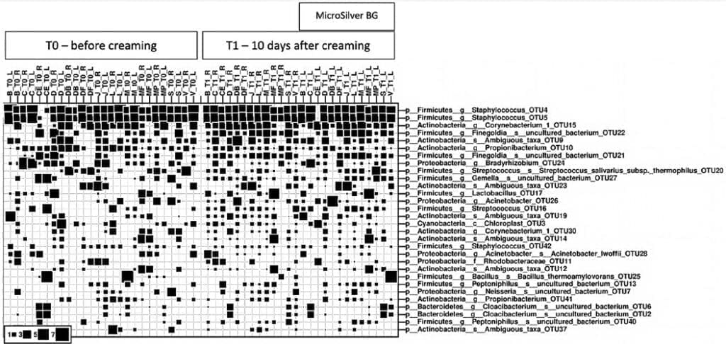 MicroSilver BG™ - A microbiome supportive skin conditioner withantimicrobial properties 11 EURO COSMETICS Magazine • MicroSilver BG™ - A microbiome supportive skin conditioner withantimicrobial properties • Dr. Peter Steinrücke, Dr. Radhesh Kumar and Dipl.-Ing. Thomas Konradt • Dr. Peter Steinrücke, Dr. Radhesh Kumar and Dipl.-Ing. Thomas Konradt
