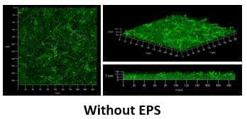Harnessing innovative prowess to develop a biotechnological application utilizing ExoPolySaccharides 9 EURO COSMETICS Magazine • Harnessing innovative prowess to develop a biotechnological application utilizing ExoPolySaccharides • Lallemand GmbH • Lallemand GmbH