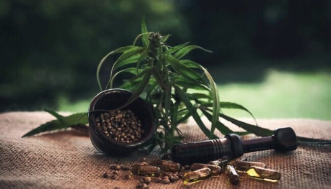 CBD in natural cosmetics: Under scrutiny 7 EURO COSMETICS Magazine • CBD in natural cosmetics: Under scrutiny • Paula Gómez de Tejada and Dr. Mark Smith • Paula Gómez de Tejada and Dr. Mark Smith