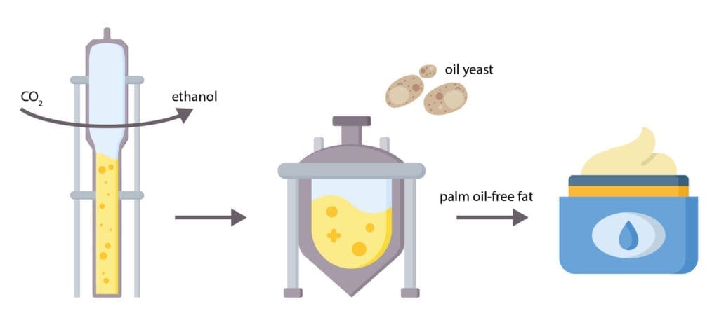 CO₂ recycling powers a new palm oil alternative for the cosmetics industry 3 EURO COSMETICS Magazine • CO₂ recycling powers a new palm oil alternative for the cosmetics industry • Euro Cosmetics • Euro Cosmetics