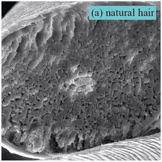 Lipid Bond Technology - The new Biotech in Redefines Hair Repair 9 EURO COSMETICS Magazine • Lipid Bond Technology - The new Biotech in Redefines Hair Repair • LAI NAM HAI • LAI NAM HAI