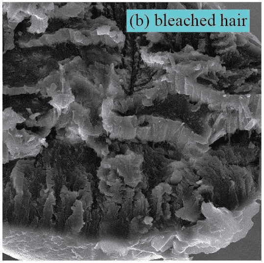 Lipid Bond Technology - The new Biotech in Redefines Hair Repair 11 EURO COSMETICS Magazine • Lipid Bond Technology - The new Biotech in Redefines Hair Repair • LAI NAM HAI • LAI NAM HAI