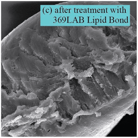 Lipid Bond Technology - The new Biotech in Redefines Hair Repair 13 EURO COSMETICS Magazine • Lipid Bond Technology - The new Biotech in Redefines Hair Repair • LAI NAM HAI • LAI NAM HAI