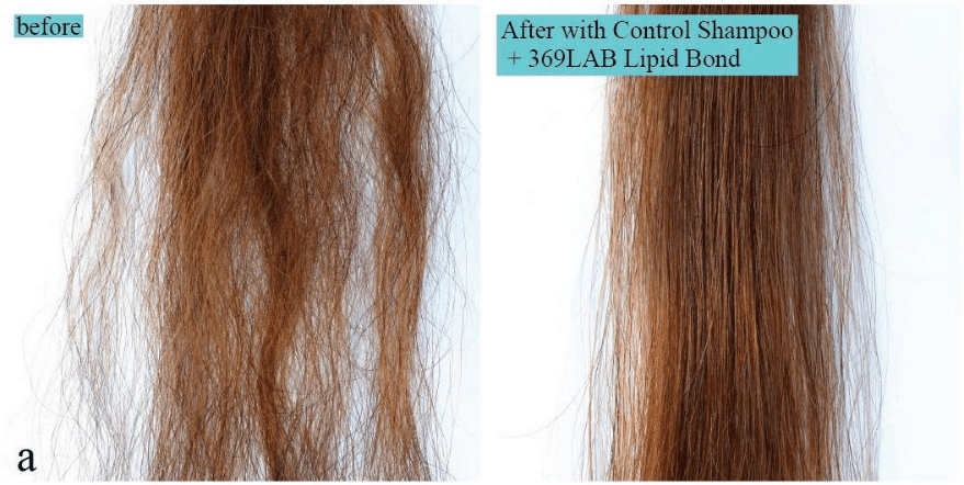 Lipid Bond Technology - The new Biotech in Redefines Hair Repair 17 EURO COSMETICS Magazine • Lipid Bond Technology - The new Biotech in Redefines Hair Repair • LAI NAM HAI • LAI NAM HAI