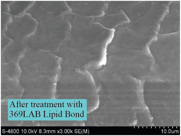 Lipid Bond Technology - The new Biotech in Redefines Hair Repair 7 EURO COSMETICS Magazine • Lipid Bond Technology - The new Biotech in Redefines Hair Repair • LAI NAM HAI • LAI NAM HAI